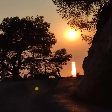 El Sol Del Sur *