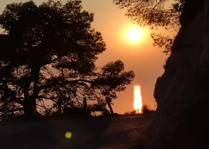 El Sol Del Sur *